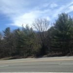 ae478af6120fe41c9fb3807ecc3beab2