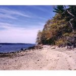 ec63b97e22b7241bb36ac9b2a8b88e3c