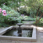 Screen Shot 2019-05-15 at 6.32.14 PM