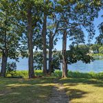 2500-Hobart-Road—Backyard