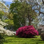 2500-Hobart-Road—House-4